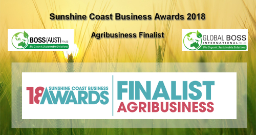 Sunshine Coast Business Award finalist